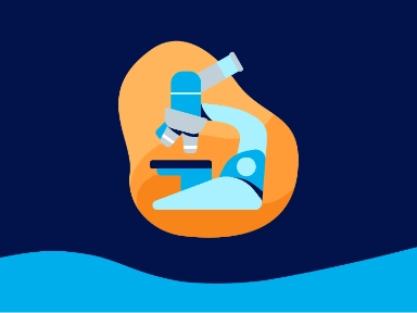 De ontwikkelingen in MS-zorg