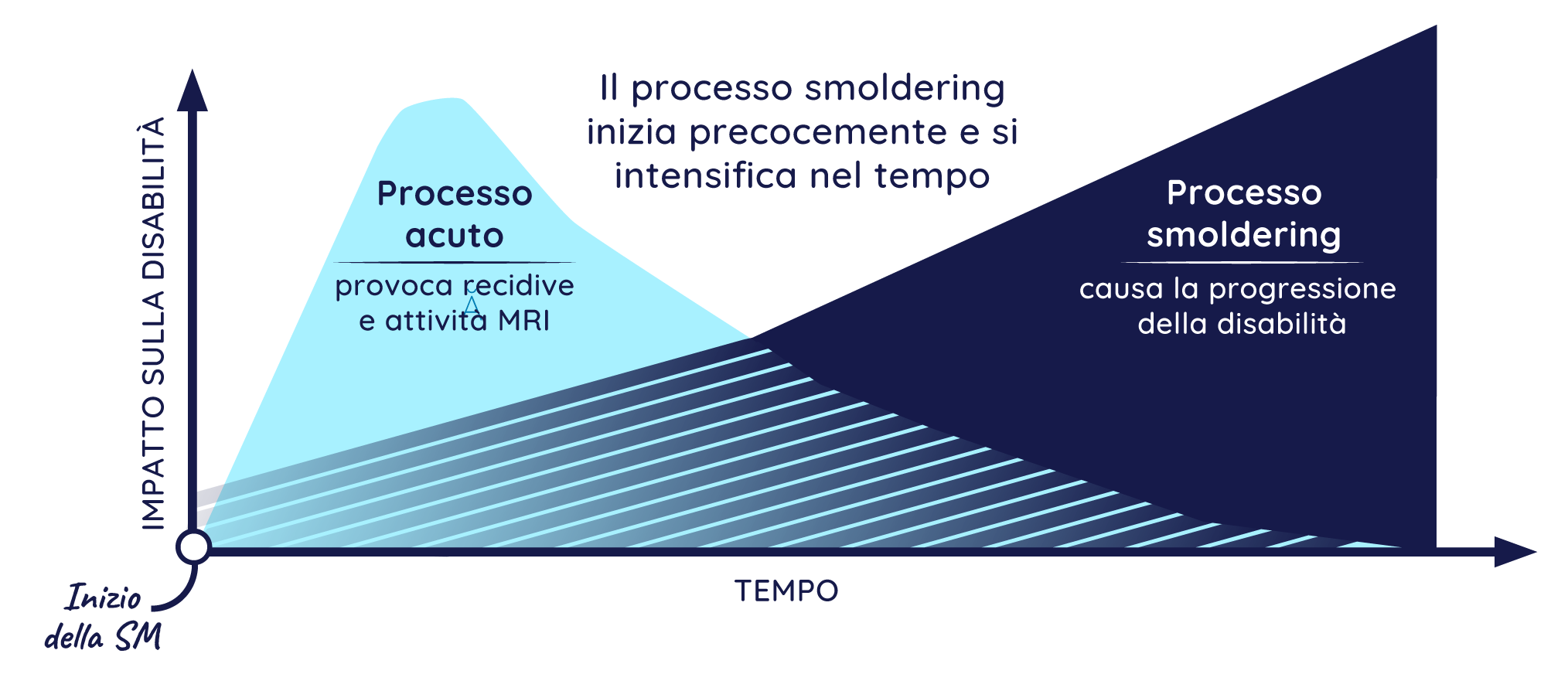 Illustration showing acute and chronic smoldering MS processes: shows the acute process of activated B and T cells crossing the blood brain barrier, causing relapses and MRI activity, and the chronic smoldering process of activated microglia causing disability progression