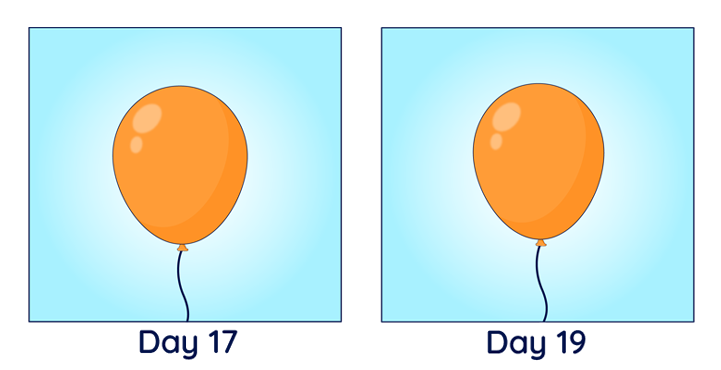 A picture of a balloon with ‘Day 12’ underneath, next to another picture of a balloon with ‘Day 13’ underneath. The balloons look to be a similar size.
