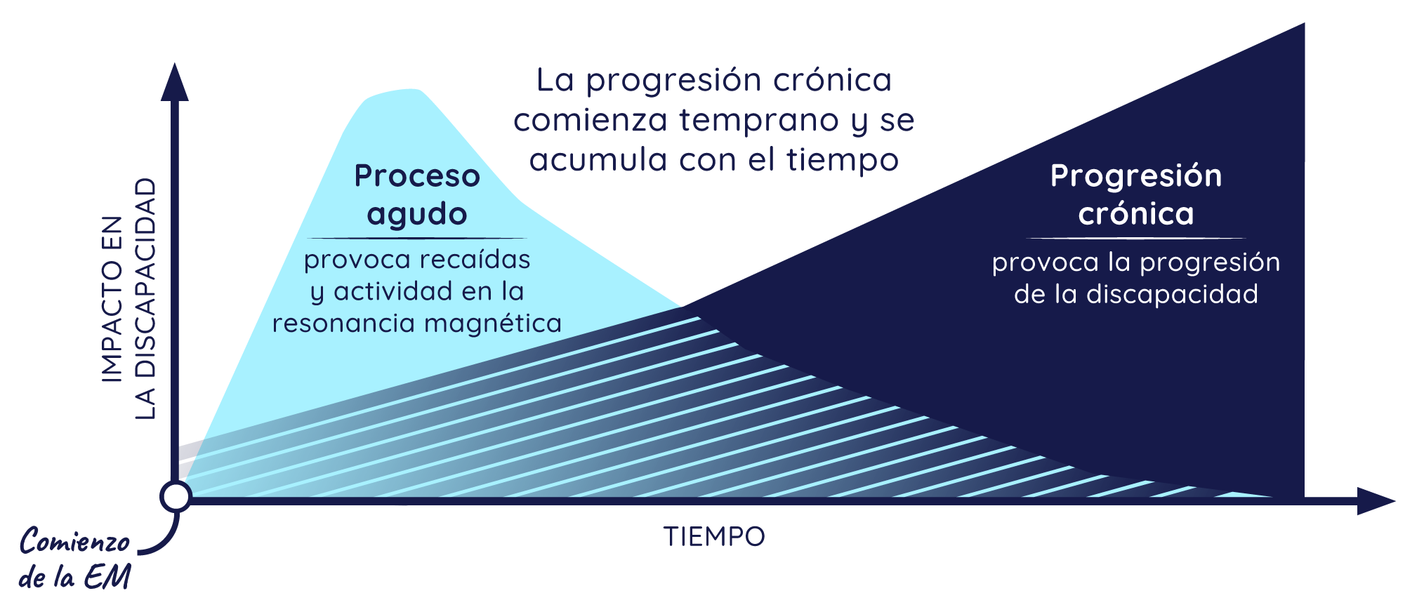 Gráfico de la progresión de la EM en el tiempo, que muestra el proceso agudo que disminuye con el tiempo y el proceso crónico latente que comienza temprano y aumenta con el tiempo, causando la progresión de la discapacidad