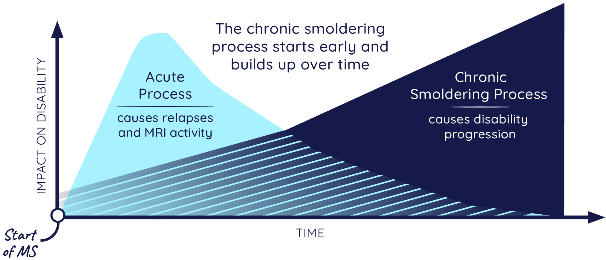 Graph of MS progression over time, showing the acute process decreasing over time and the chronic smoldering process starting early and increasing over time, causing disability progression