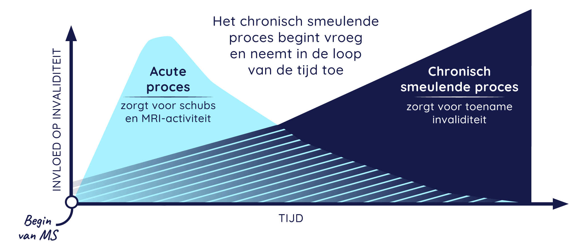 Grafiek van MS-progressie in de tijd, waaruit blijkt dat het acute proces na verloop van tijd afneemt en dat het chronische proces vroeg begint en in de loop van de tijd toeneemt, wat leidt tot progressie van invaliditeit." 
